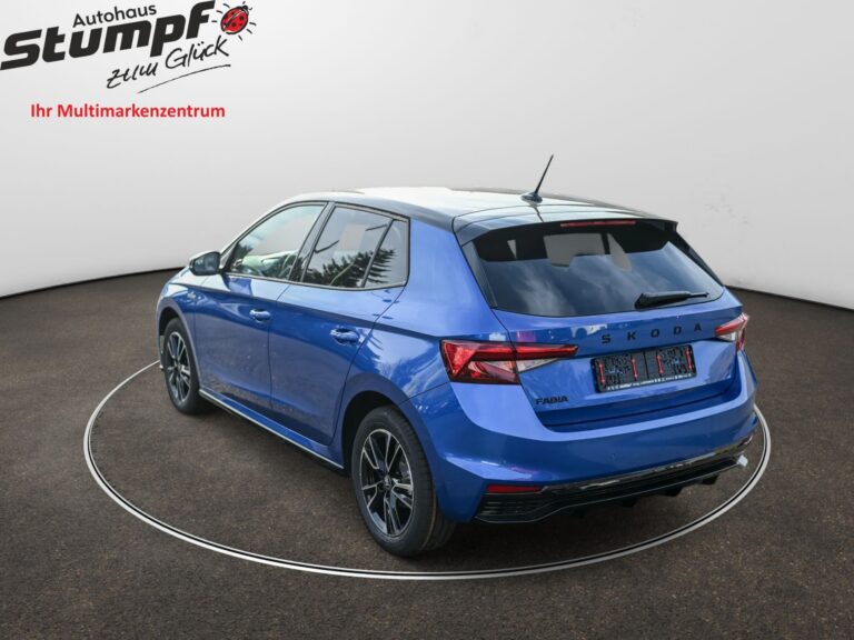2008708_-_fabia-7